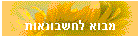 מבוא לחשבונאות